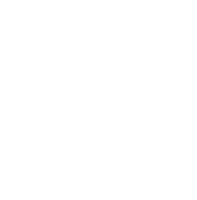 Stok logo